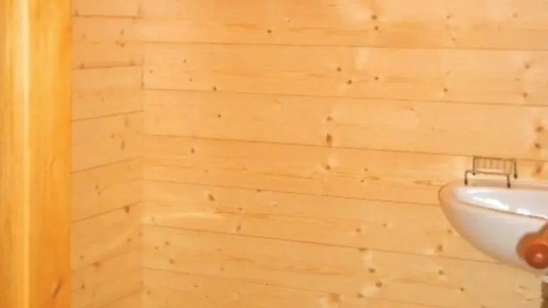 Les WC (séparés de la salle d'eau)