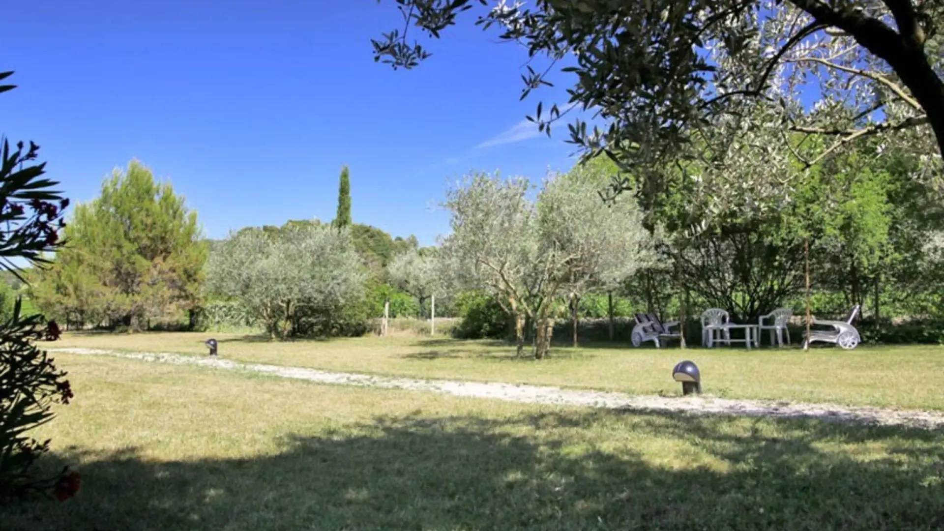 vue sur les vignes, les oliviers et la forêt