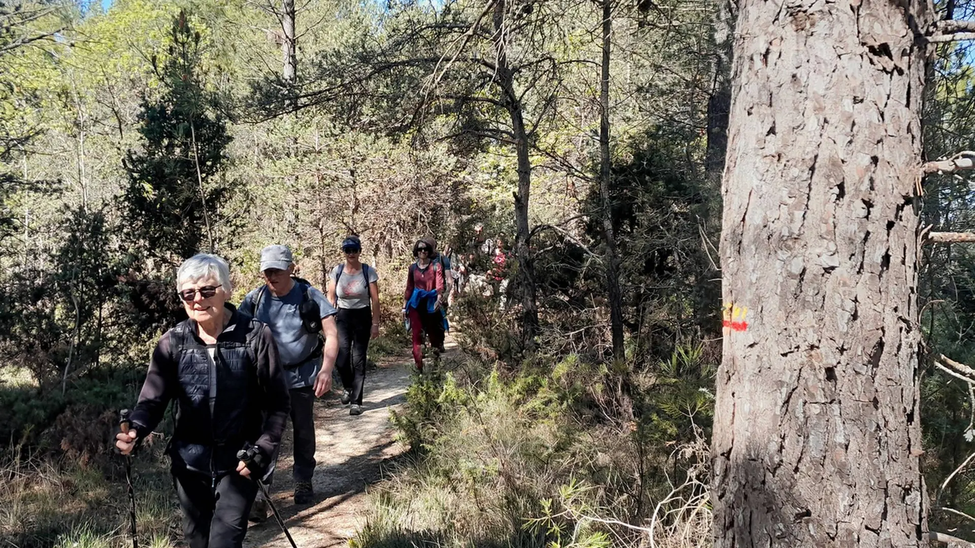 Sentier des Blaces à Caseneuve