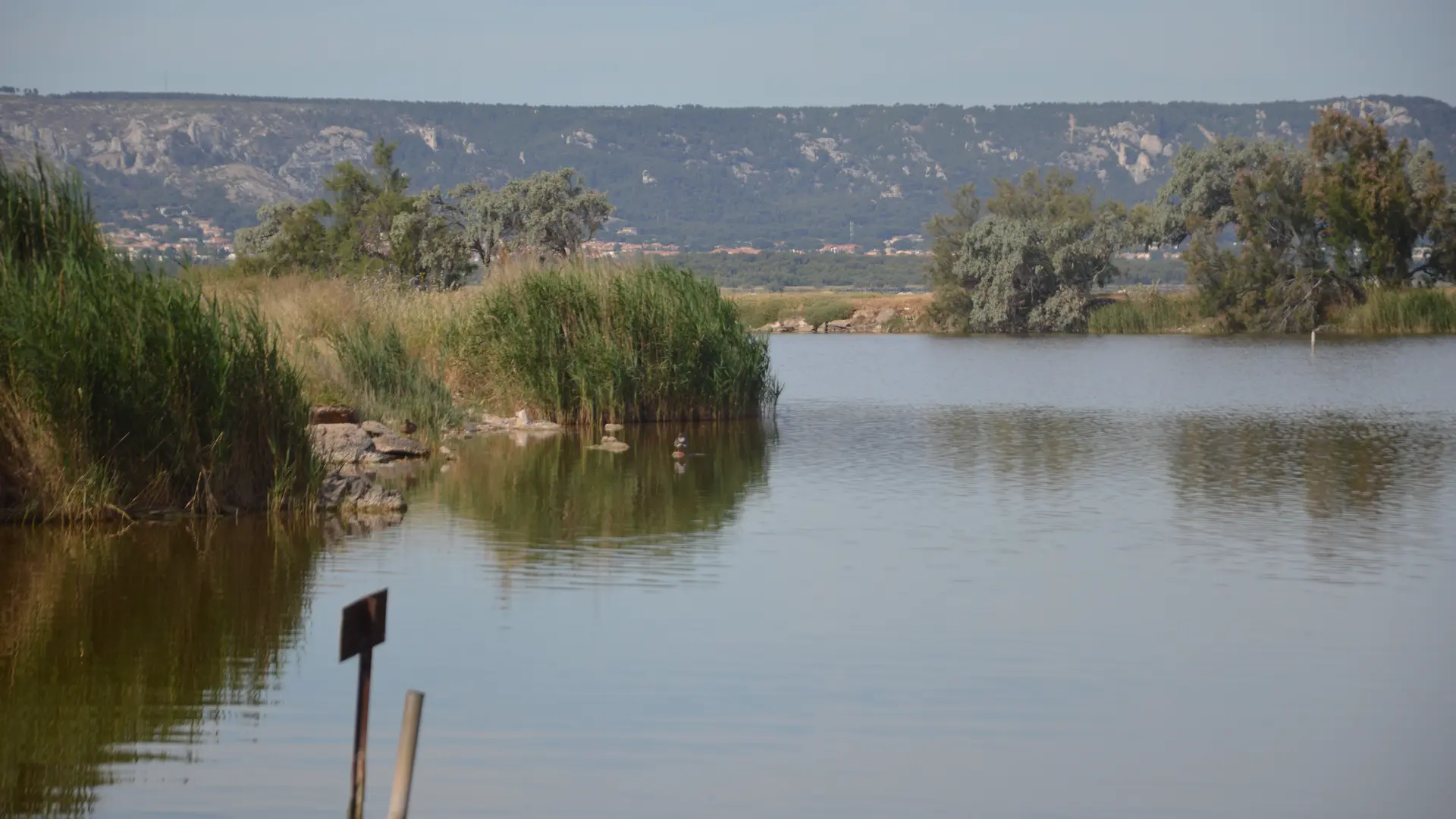 Au bord de l'étang de Bolmon