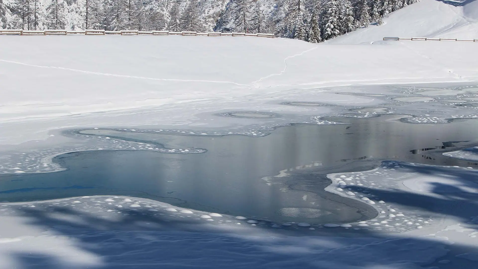 Raquettes avec Maïté