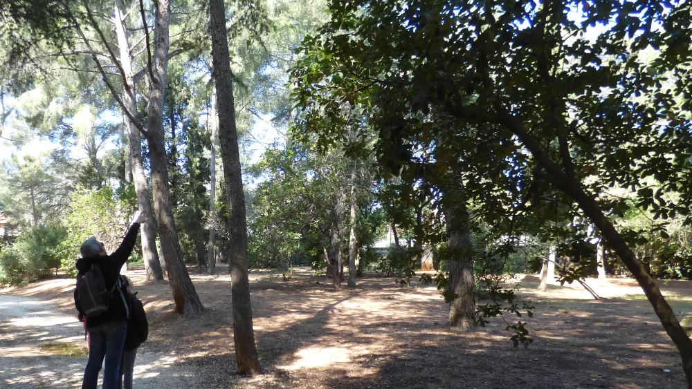 Parc du Canet_Bandol