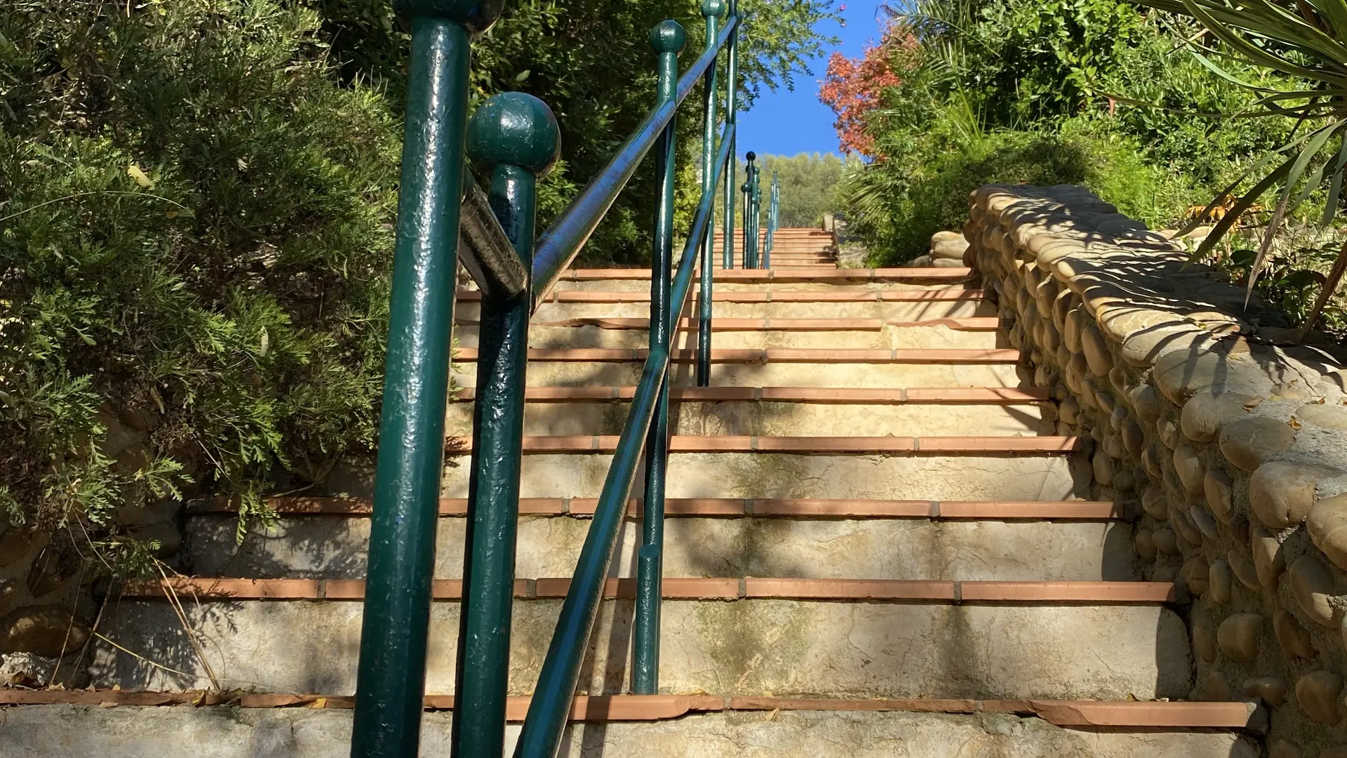 Découverte des Calanques