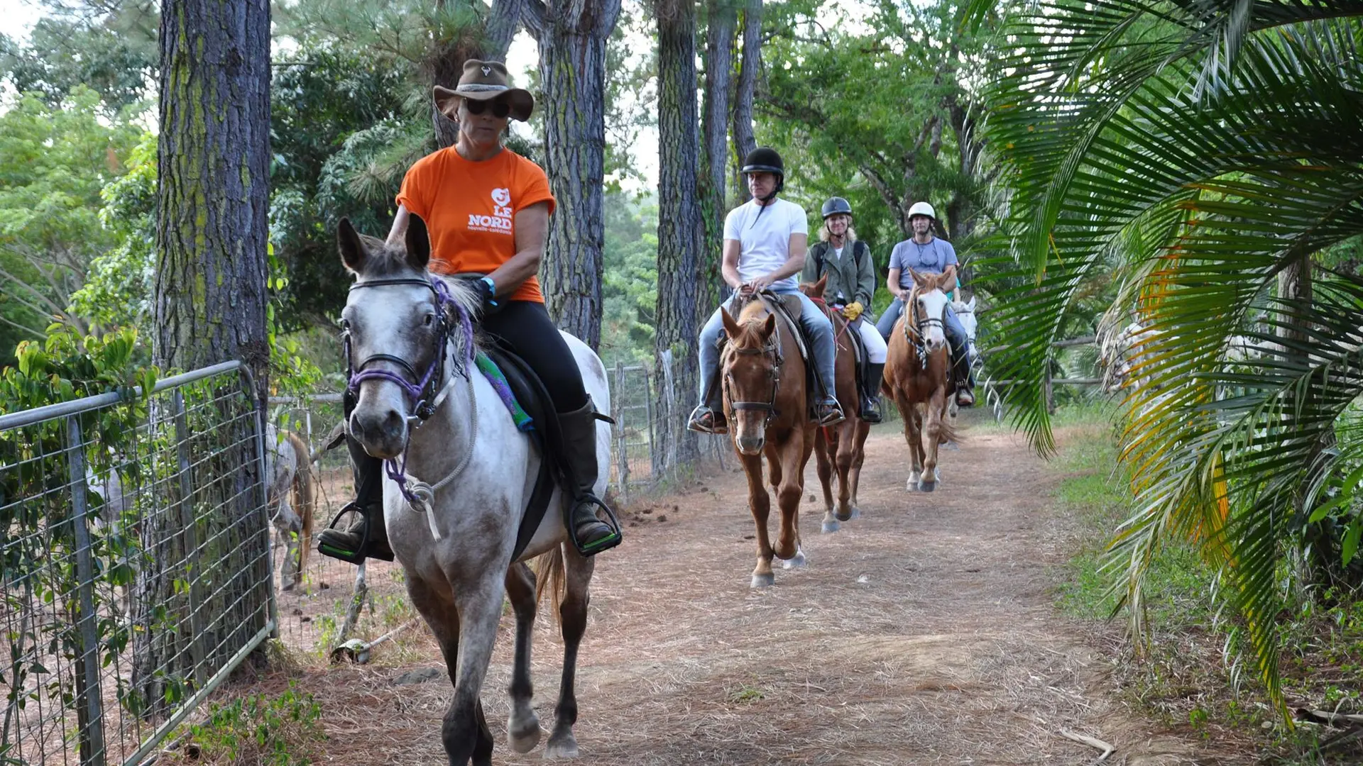 chevaux, randonnée équestre, Koumac