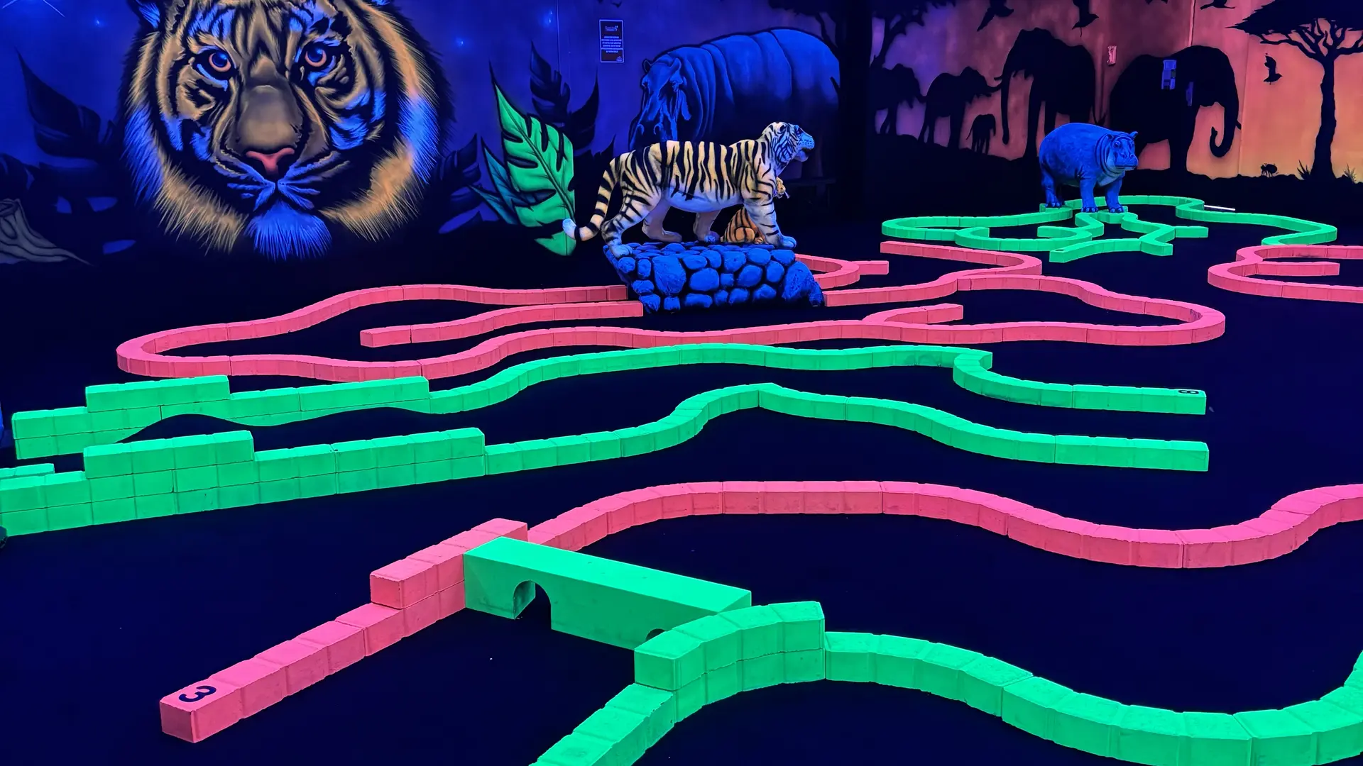 Arena Montauban_Montauban