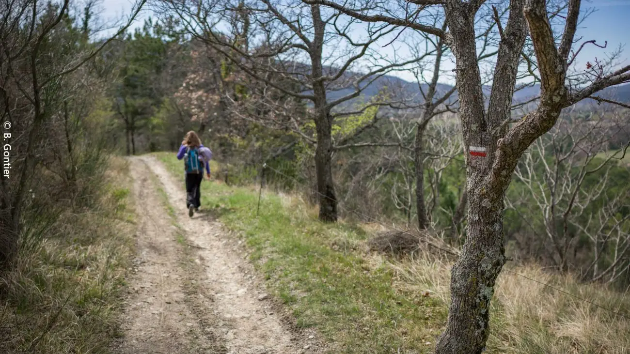 Huguenots et Vitrouillère