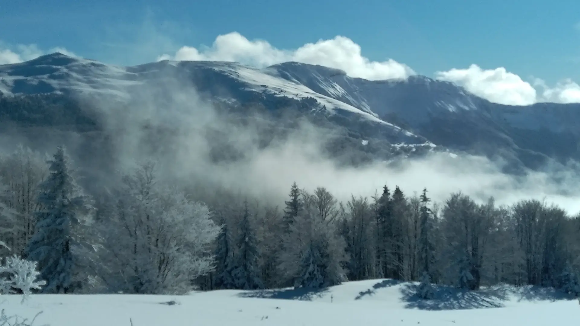 Paysage de neige