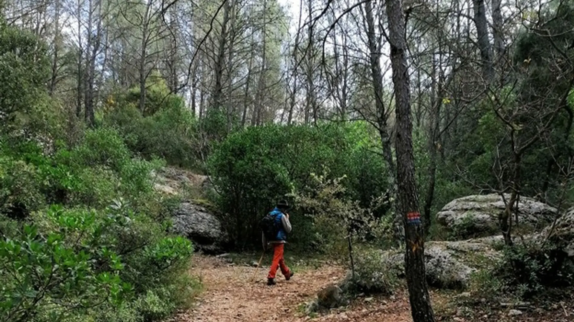 L'ambiance dans le vallon de l'Oure