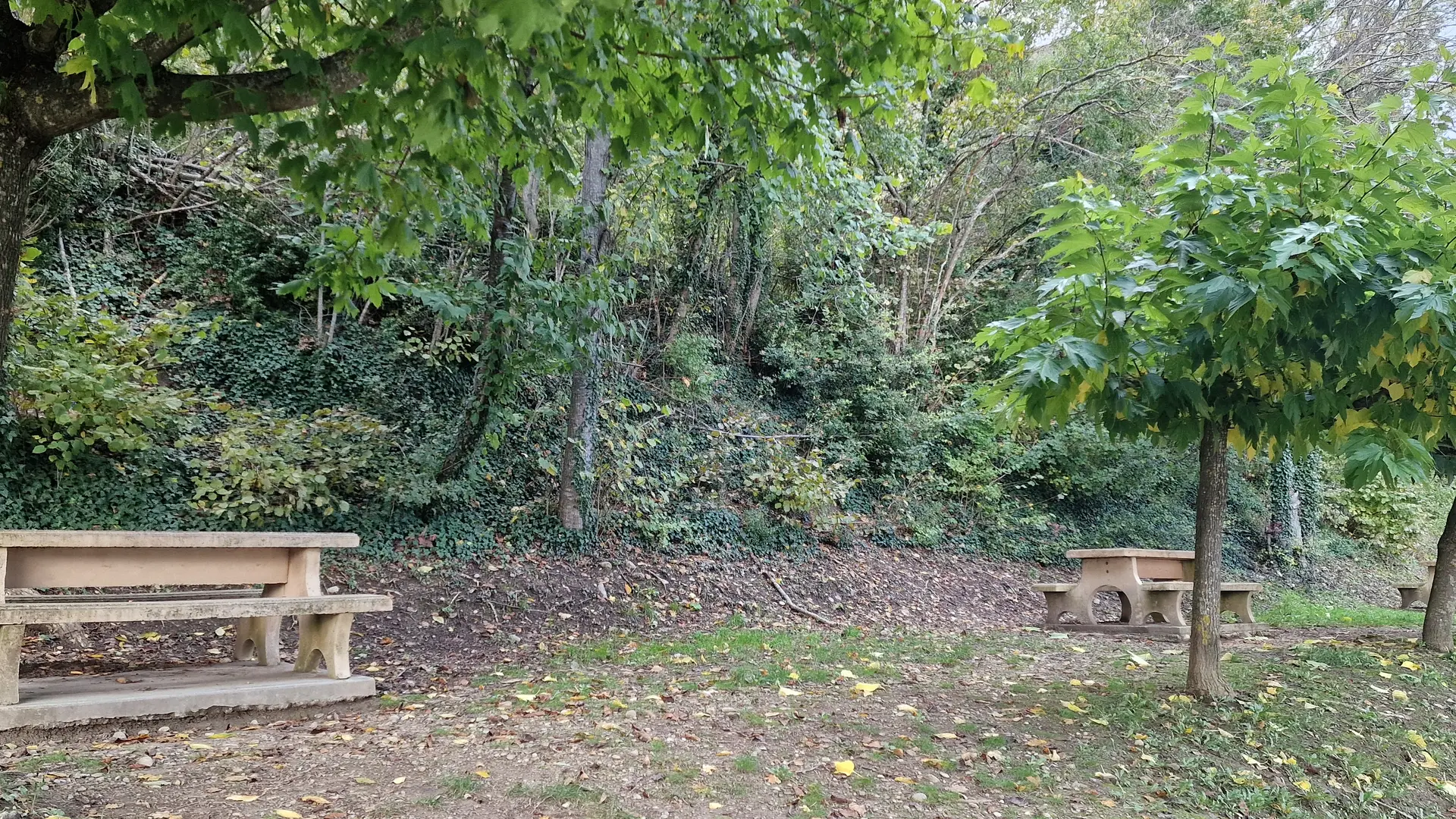Aire de pique-nique des Pénitents des Mées_Les Mées ©OT PADLB