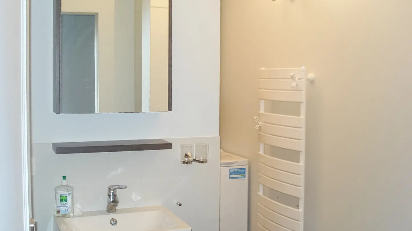 Salle d'eau avec sèche serviettes et lave linge