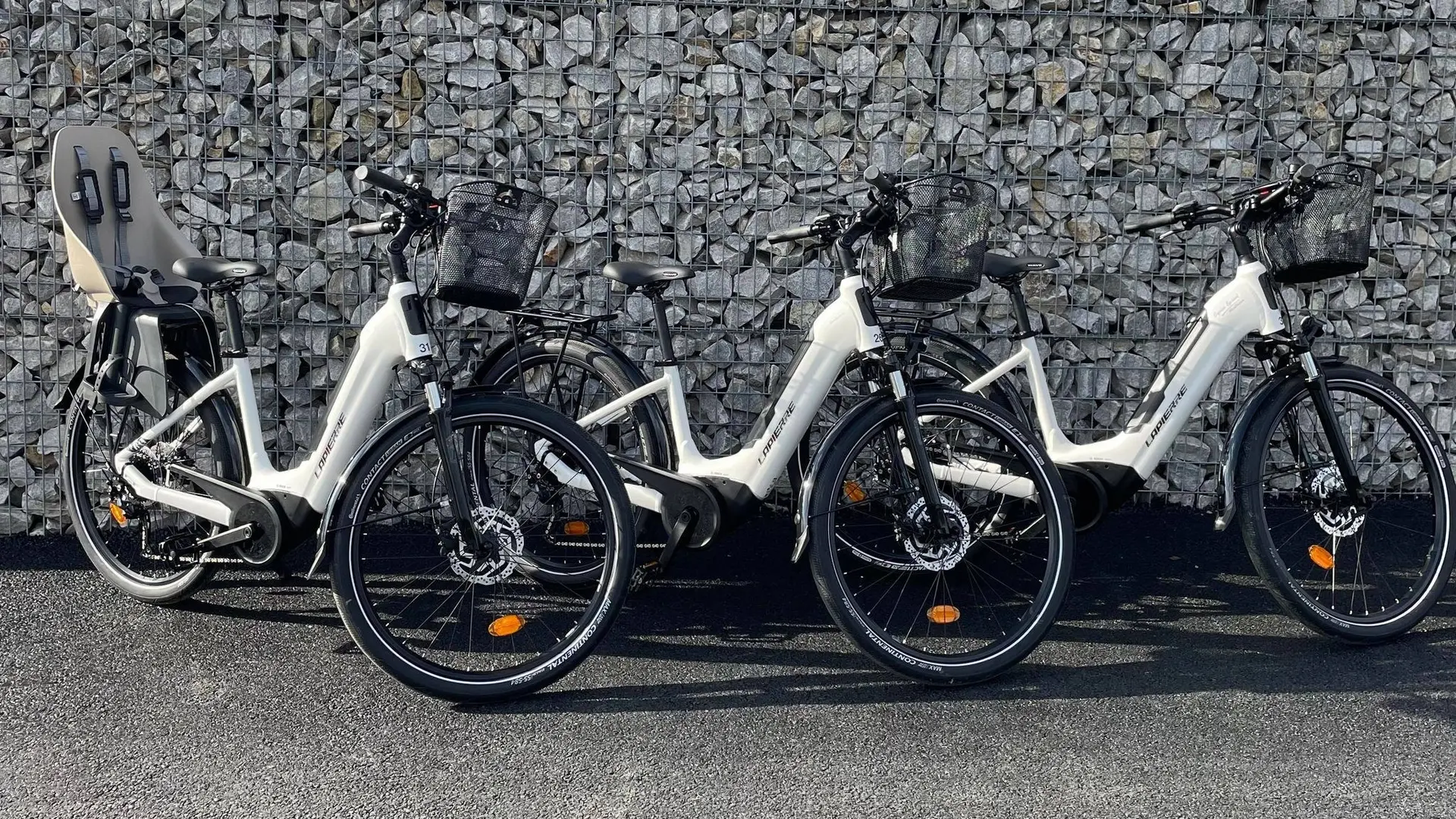 Location de vélos à assistance électrique