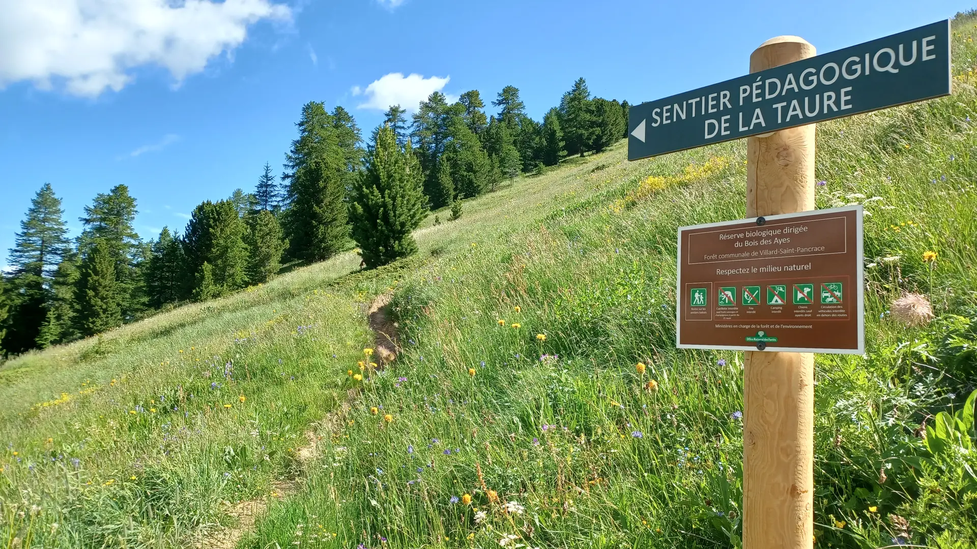 Panneau pédagodique sur le sentier pédagogique de la Taure