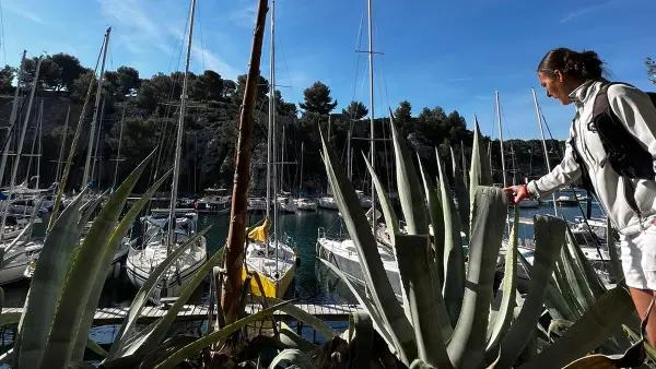 Randonnée 2 Calanques Cassis avec baignade