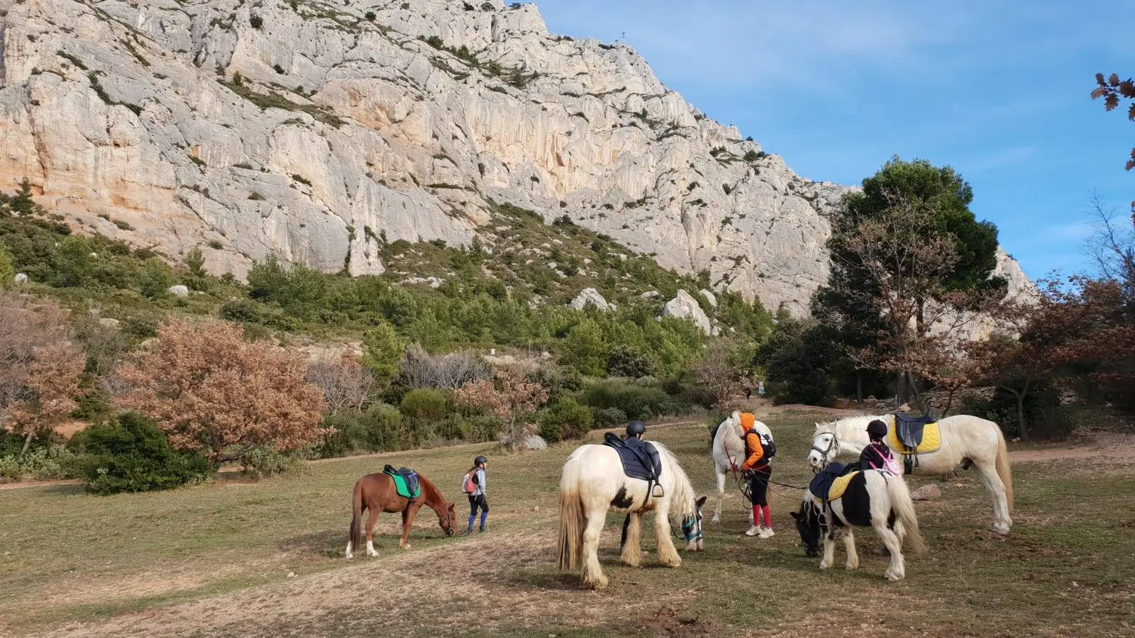 Écuries Finca Santa Victoria