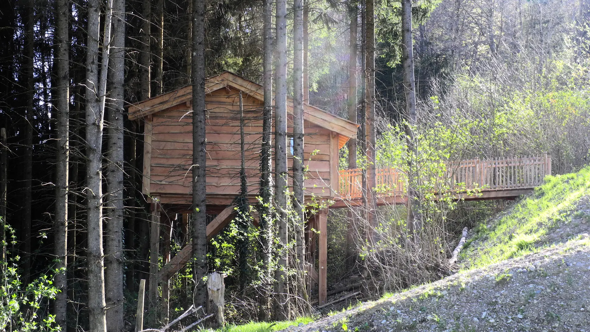 la_cabane_dans_les_arbres