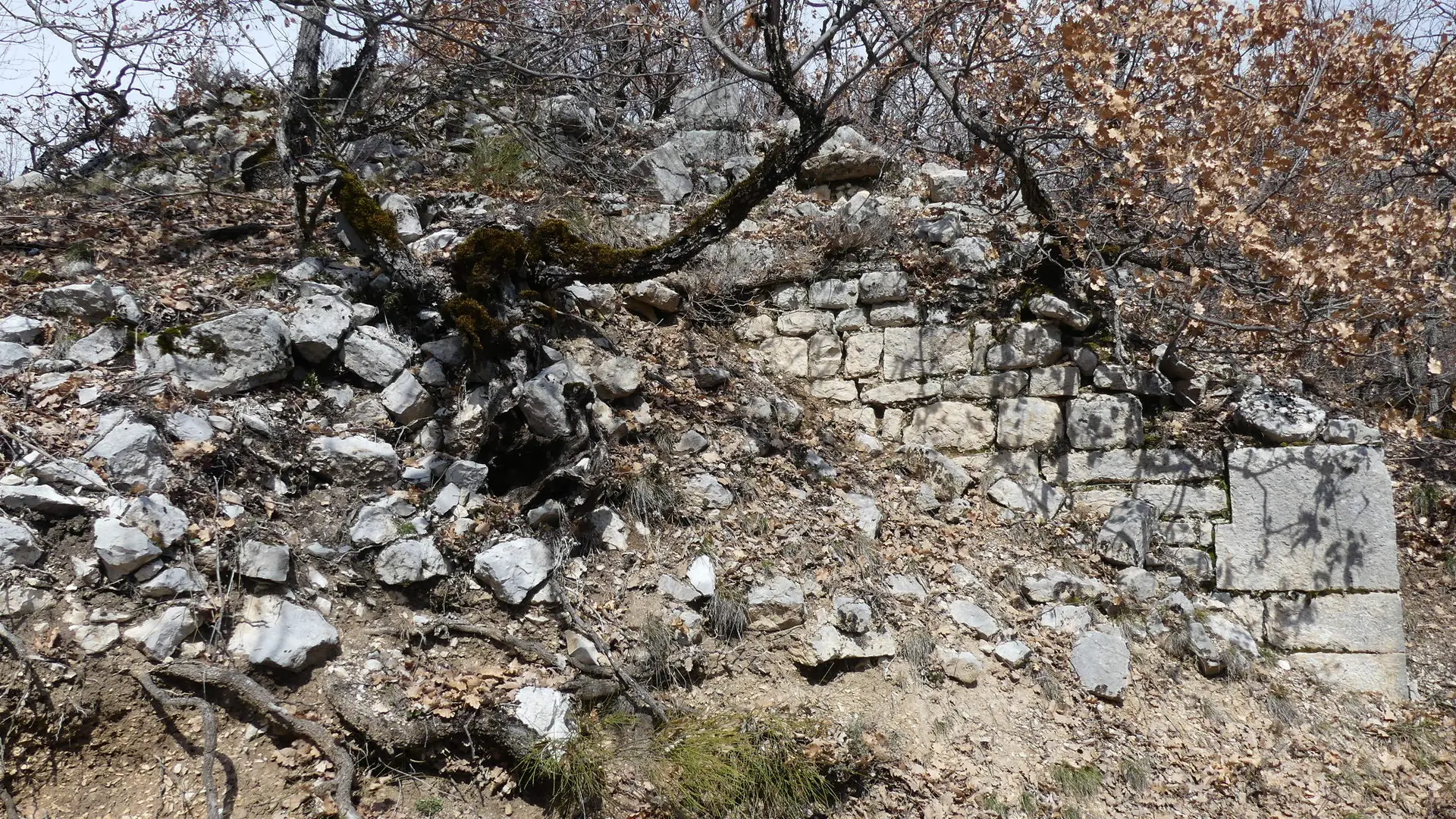 Site de l'abbaye de Clarescombes. Bâtiment du bas