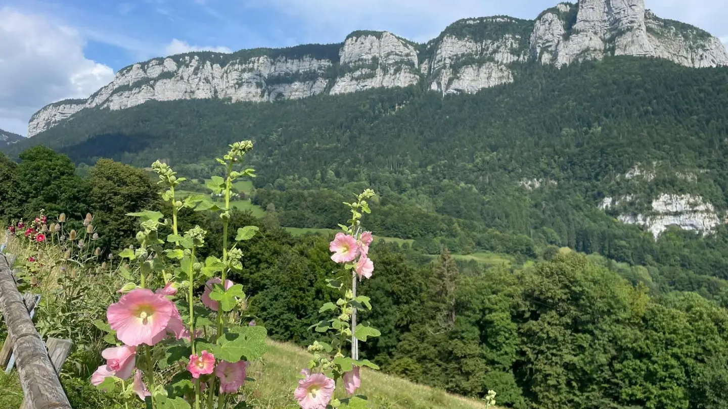 Paysage de Chartreuse