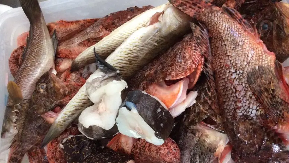 Restaurant l'Oliveraie