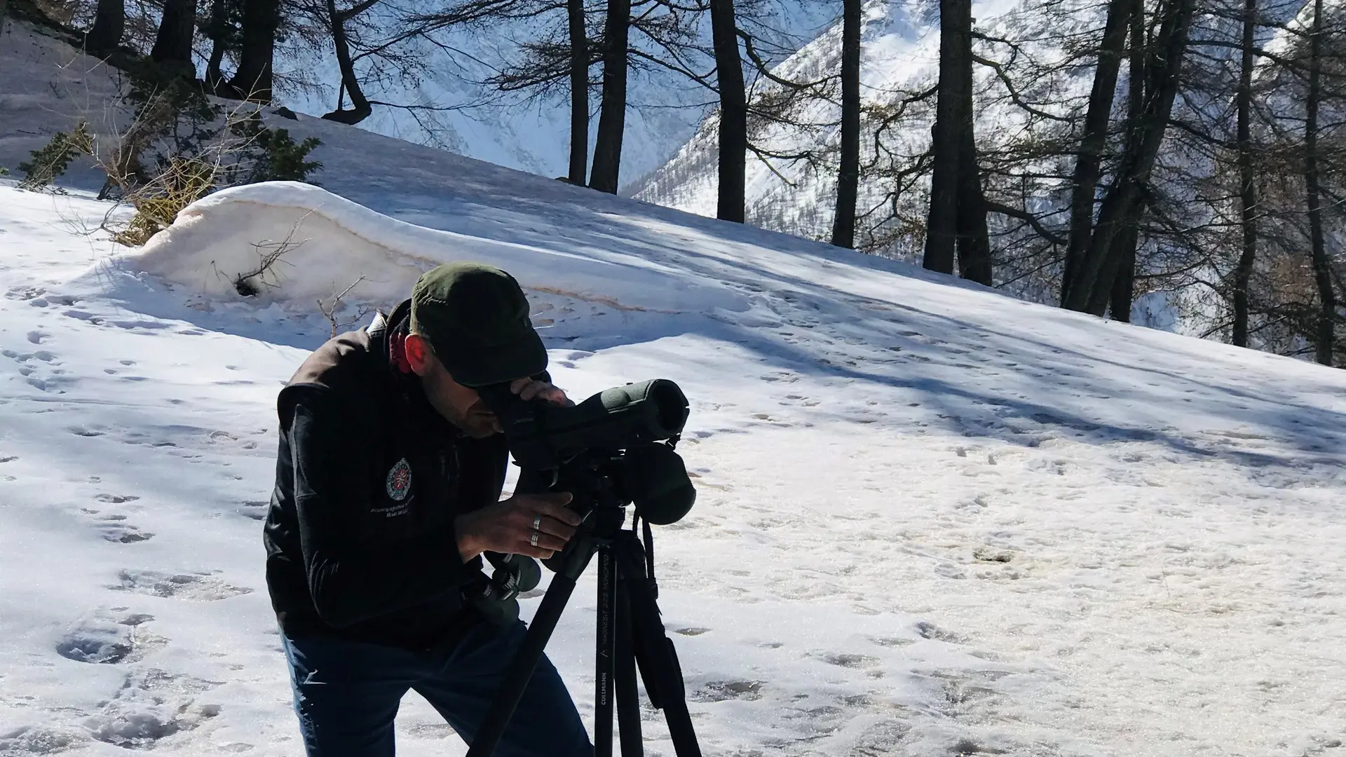 observation respectueuse de la faune