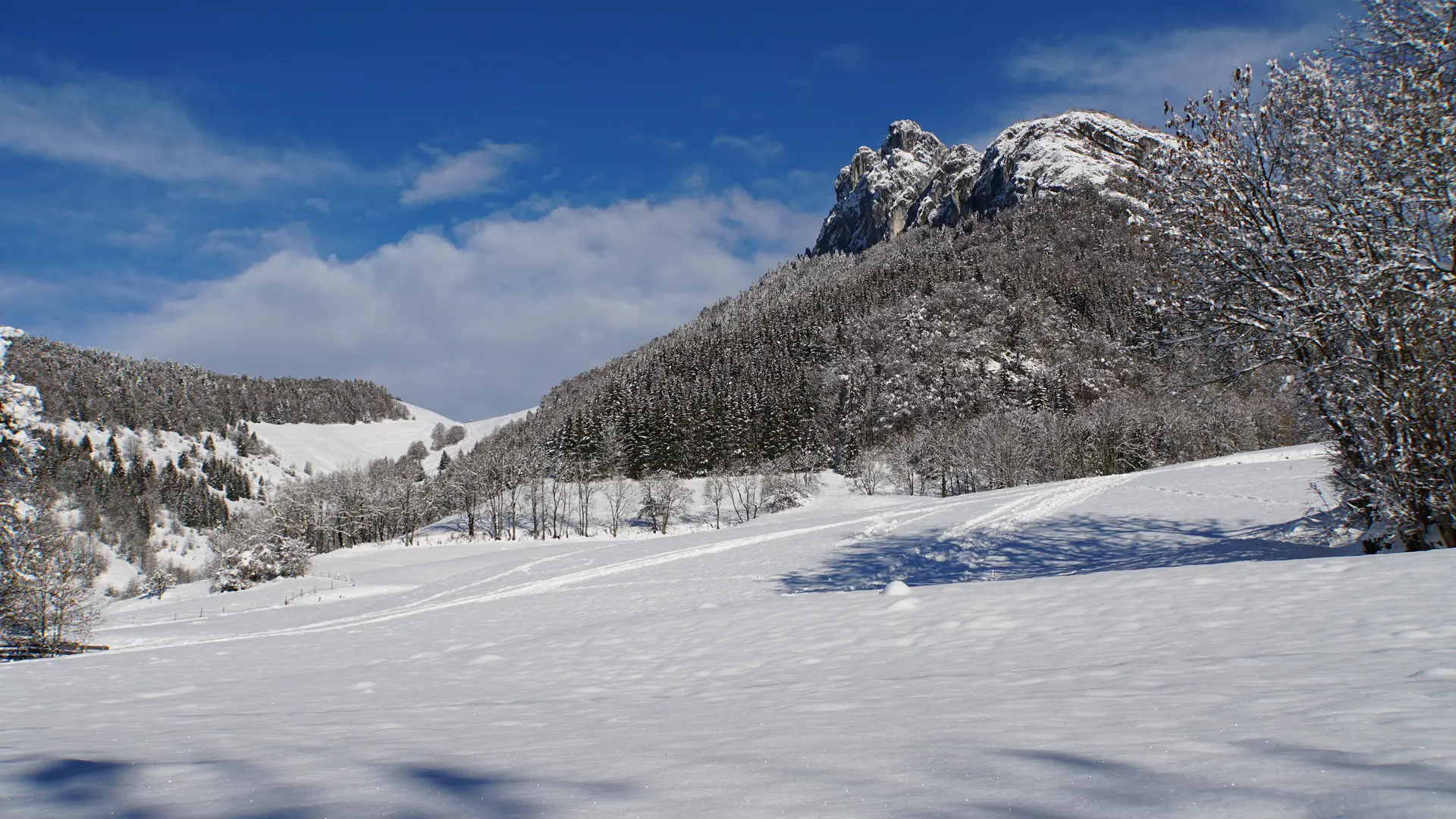 Vue depuis gite