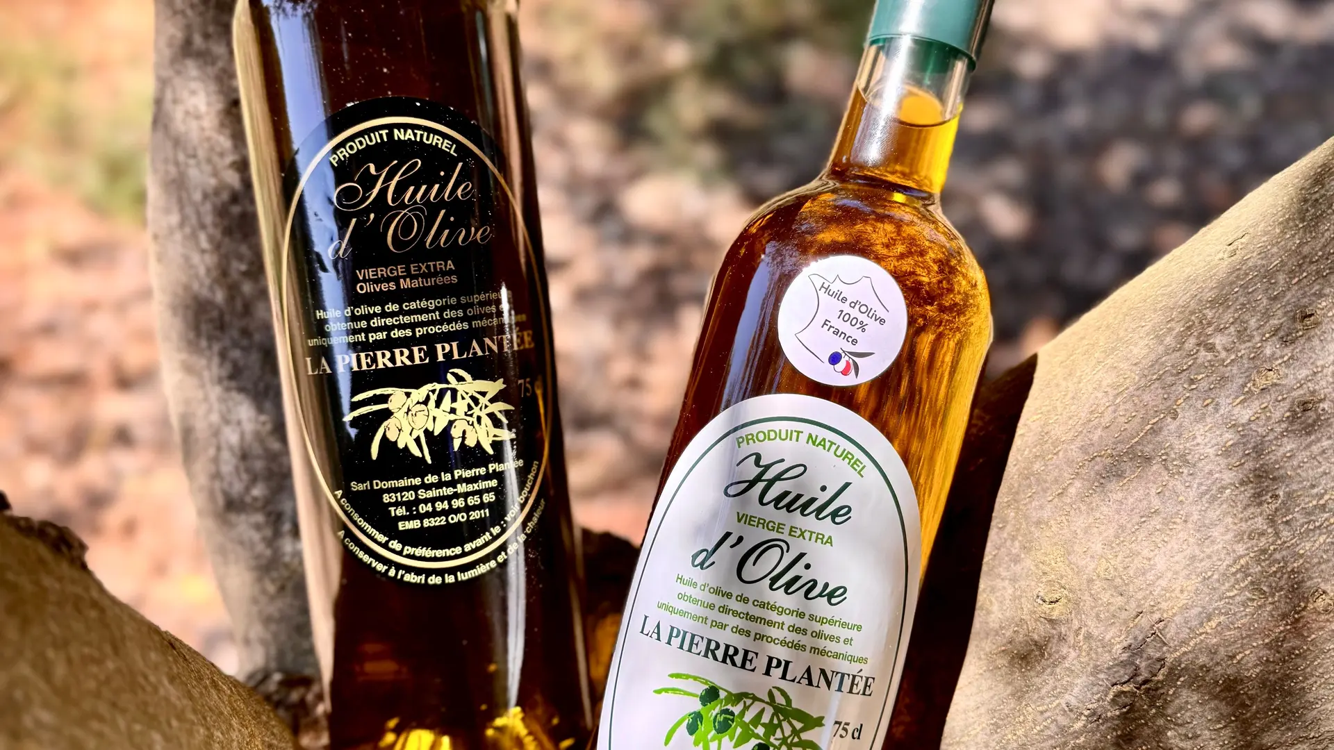 Oliveraie Domaine de La Pierre Plantée