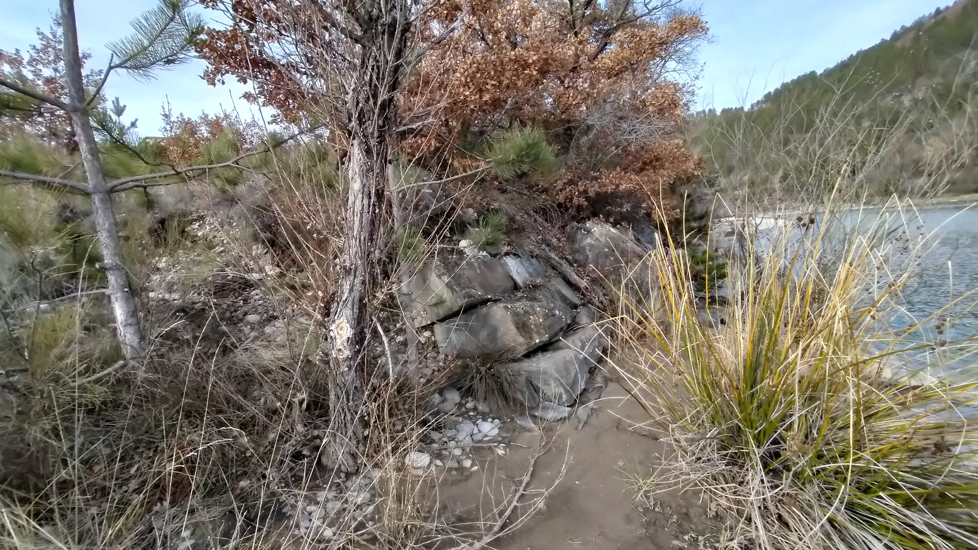 Emplacement de l'embarcadère