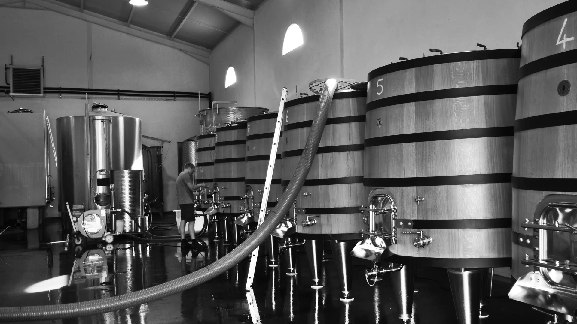 Le Jas des Papes - la cave