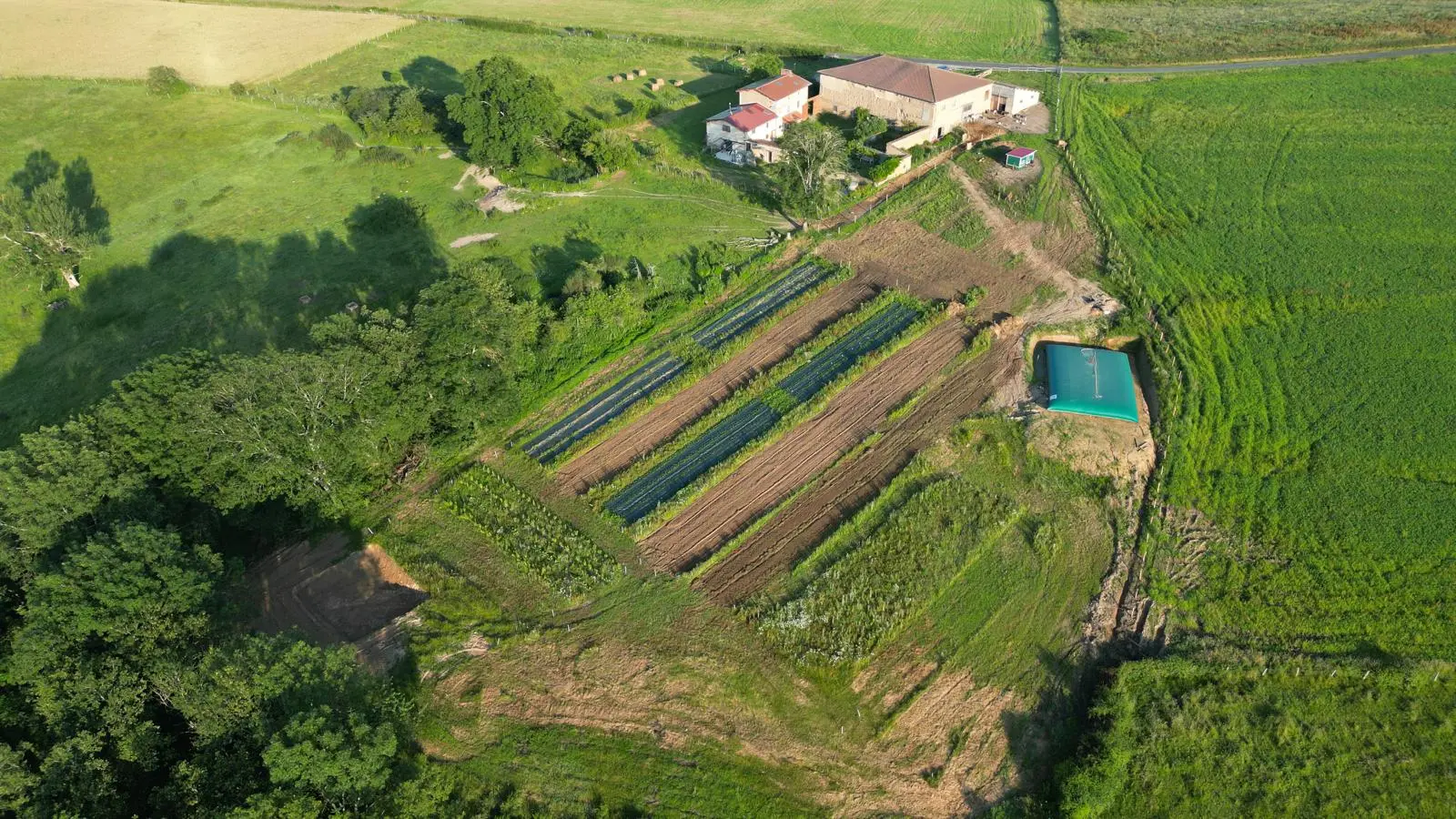 Le domaine du coq en pat