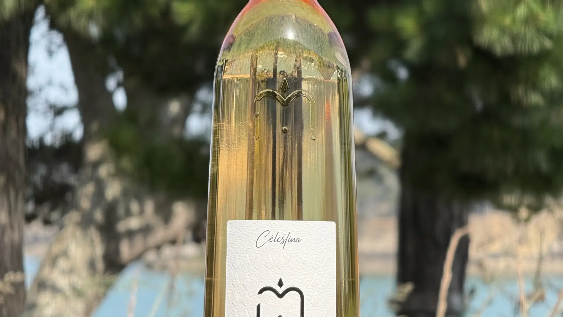 Vin blanc du domaine viticole Matteri - Hyères