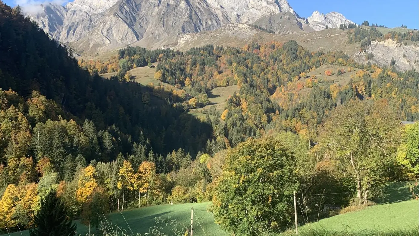 L'ETALE EN AUTOMNE