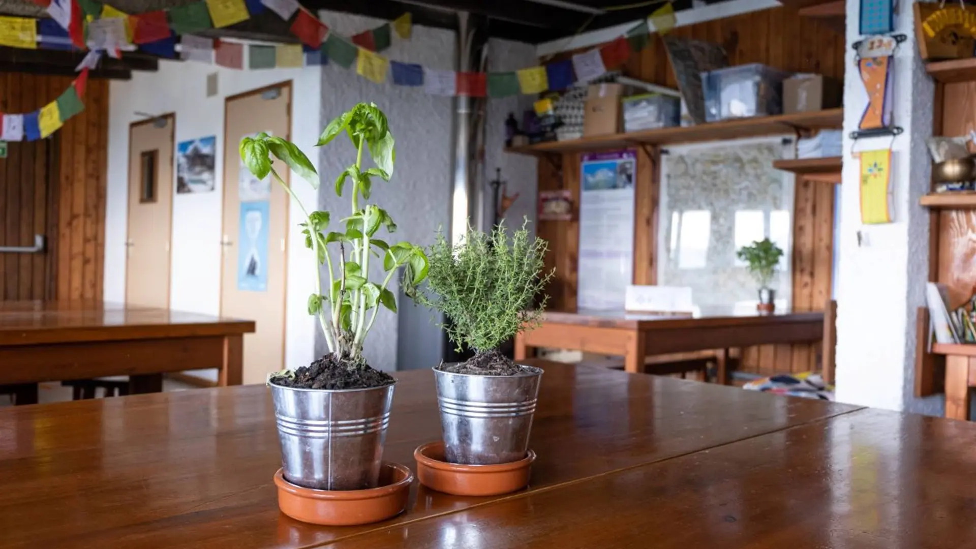 Le refuge de l'Olan, salle à manger