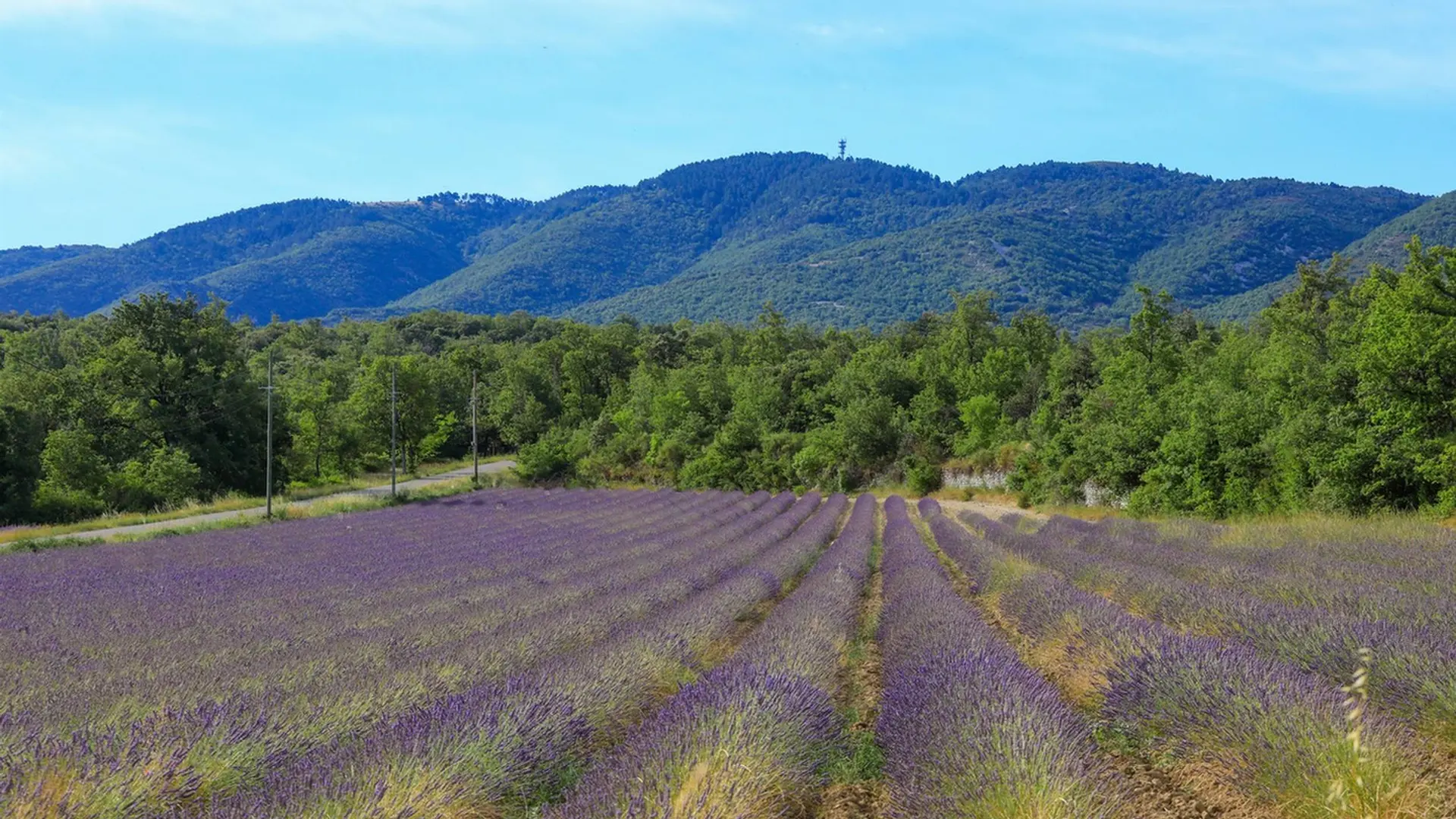 Plateau des Claparèdes et Grand Luberon