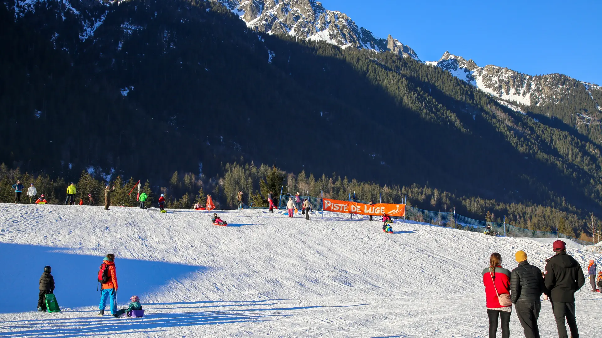 Luge Bois du Bouchet