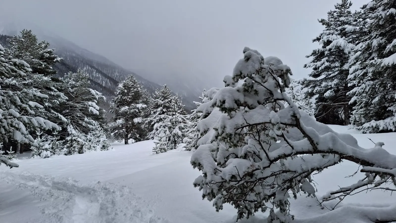 Journée brumeuse et neigeuse aux Arras