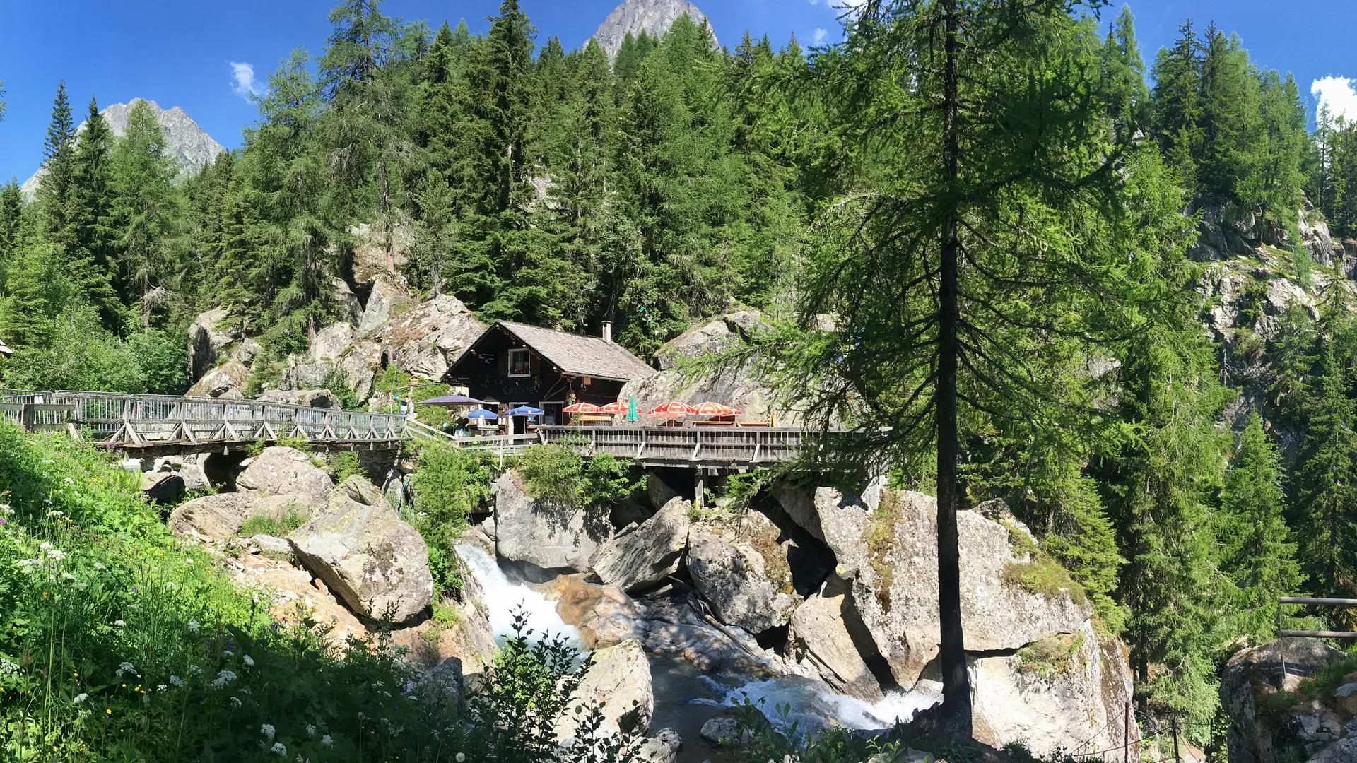 Panorama