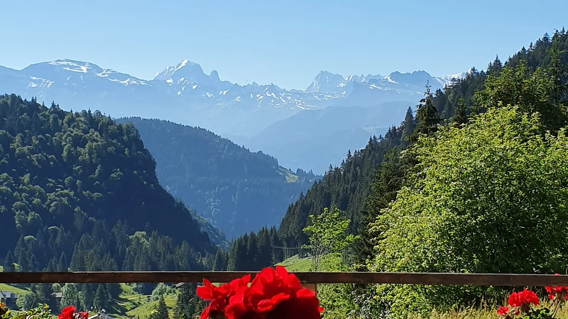 Vue de la terrasse