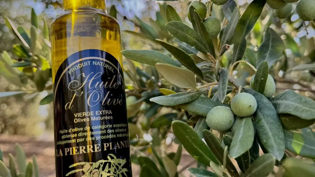 Oliveraie Domaine de La Pierre Plantée