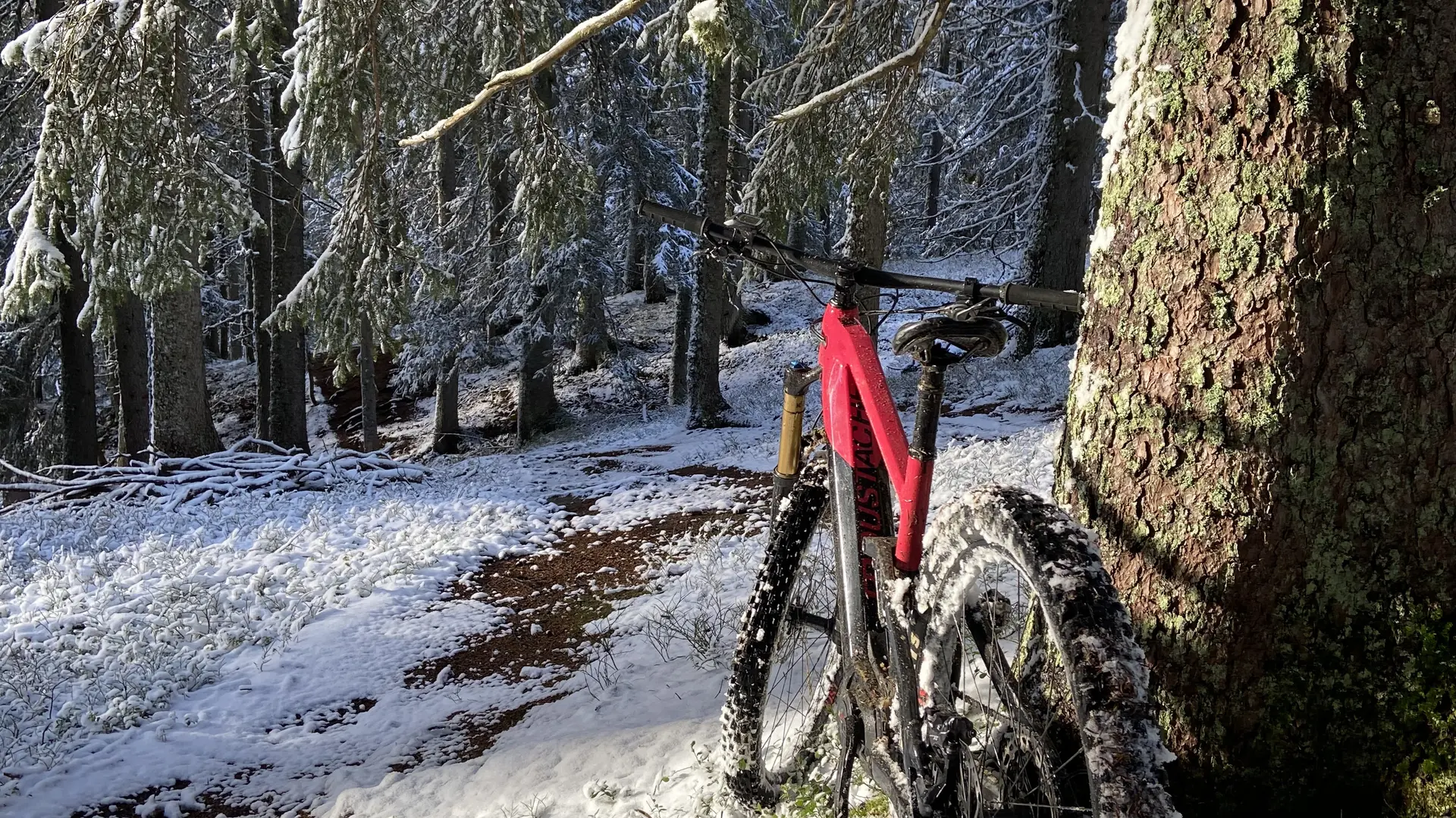 Sortie VTT accompagnée.