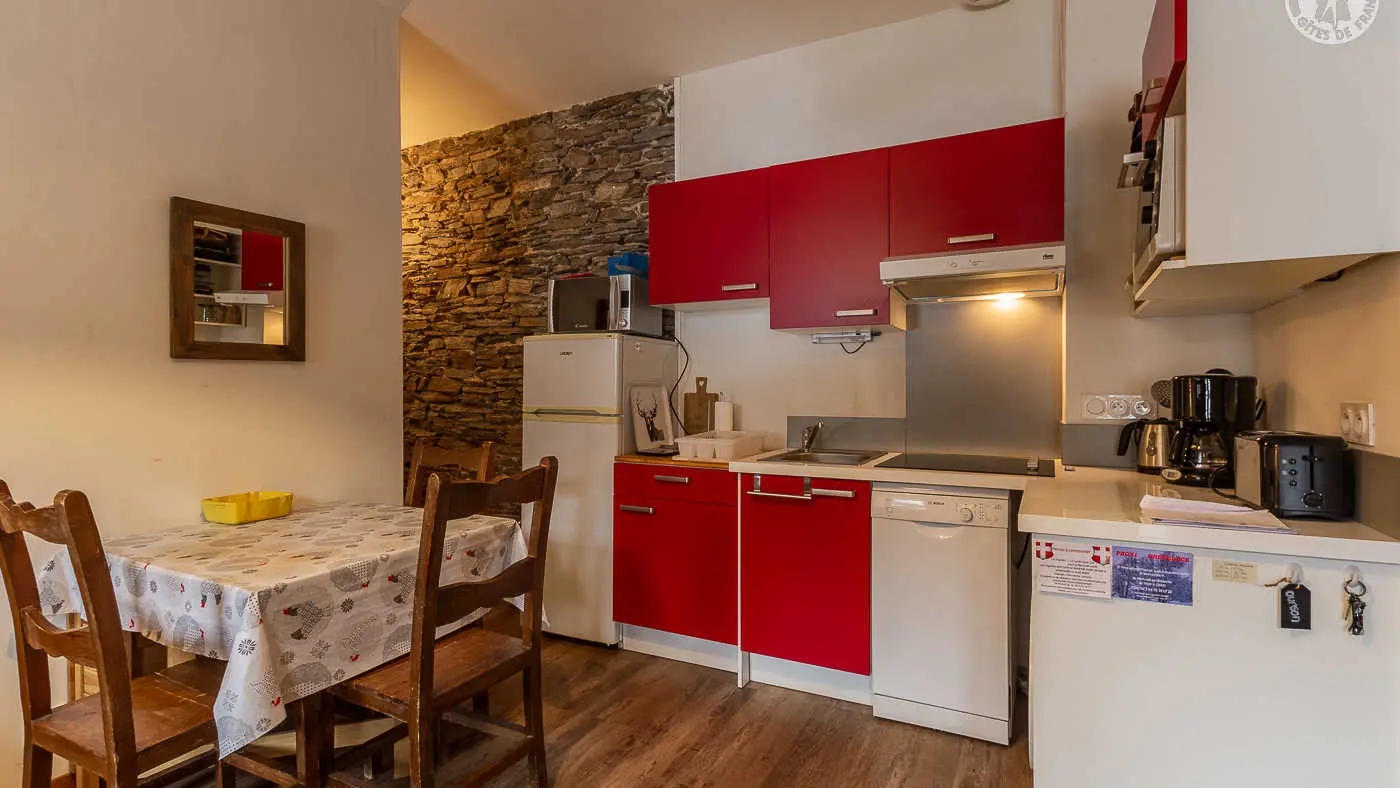 RESIDENCE MONT-BLANC LODGE - HAUTELUCE LES SAISIES - 73G132339