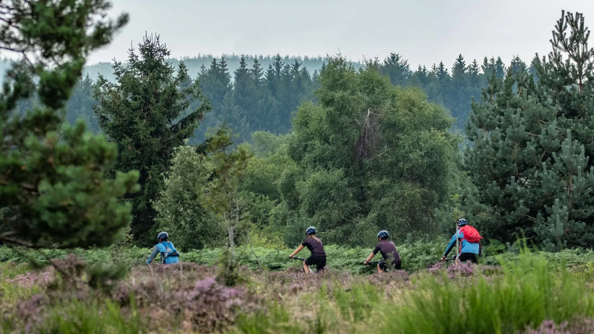VTT à travers les bruyères de Saint-Nicolas-des-Bief