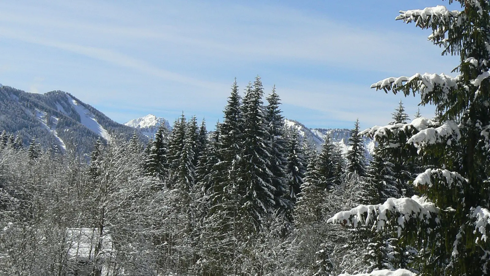 vue hiver