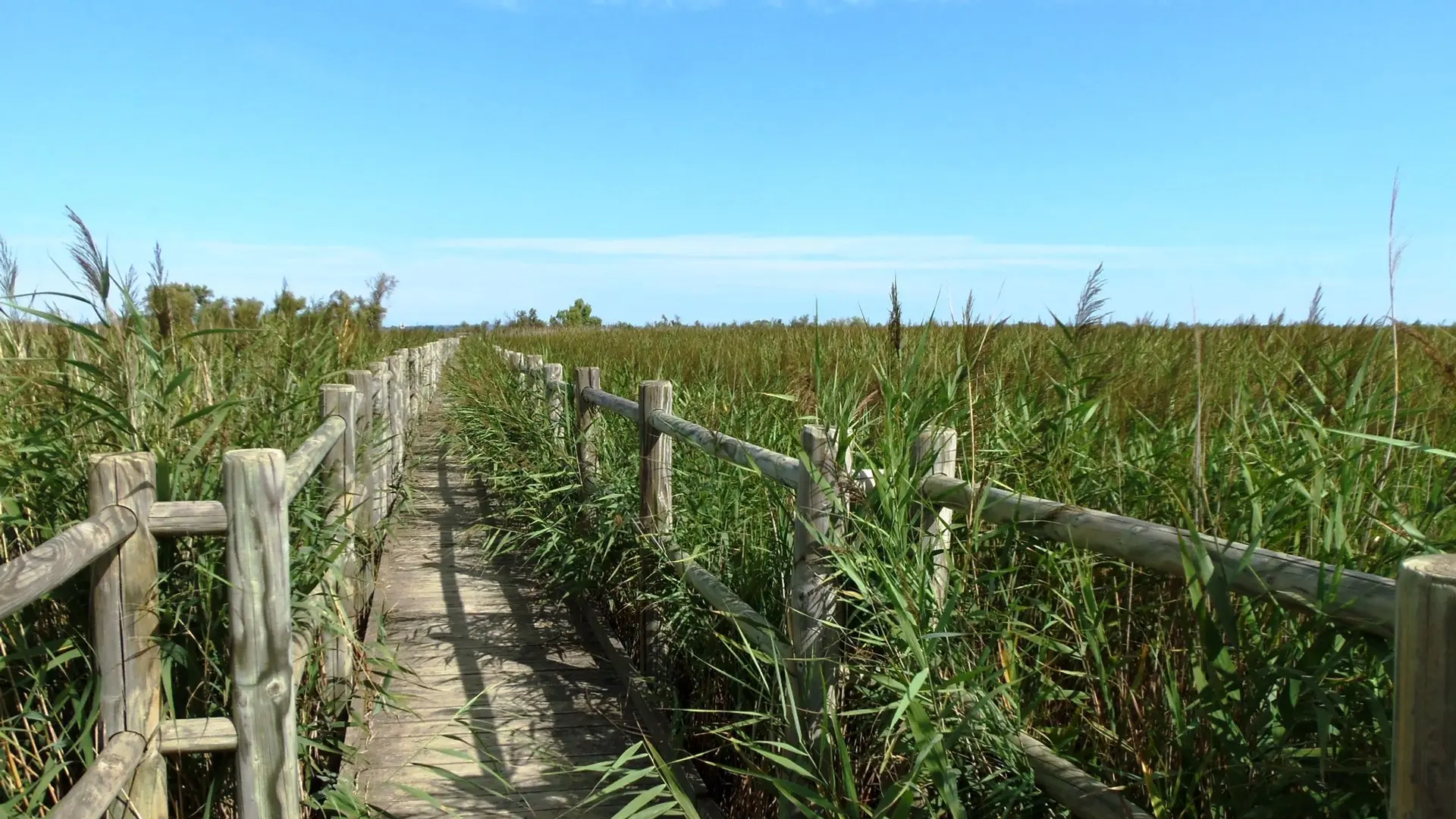 Sentier du Pont de Rousty