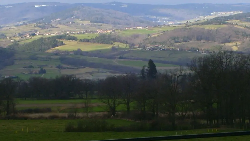 vue de la chambre verte