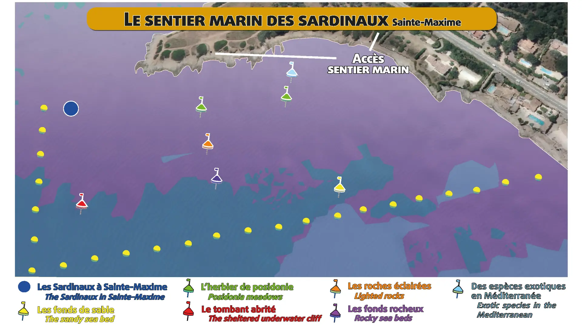Balade aquatique à la Pointe des Sardinaux