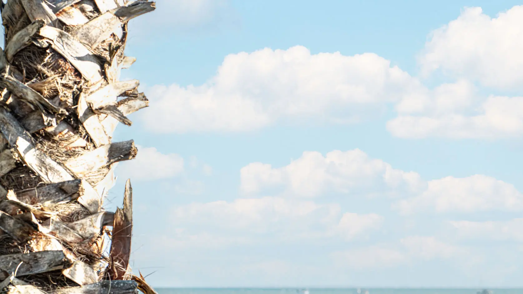 Terrasse et vue sur la mer