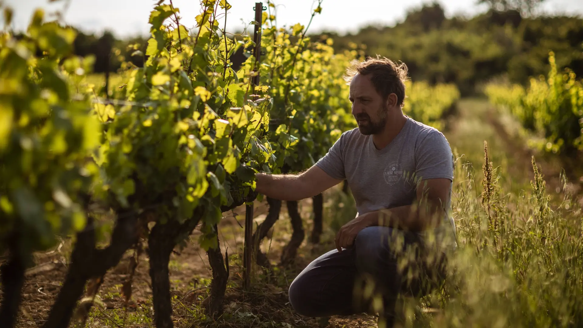 Baptiste Cartier, Vigneron