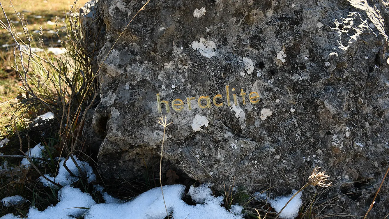 herman de vries, sommet des philosophes, 2017, Collection Musée Gassendi