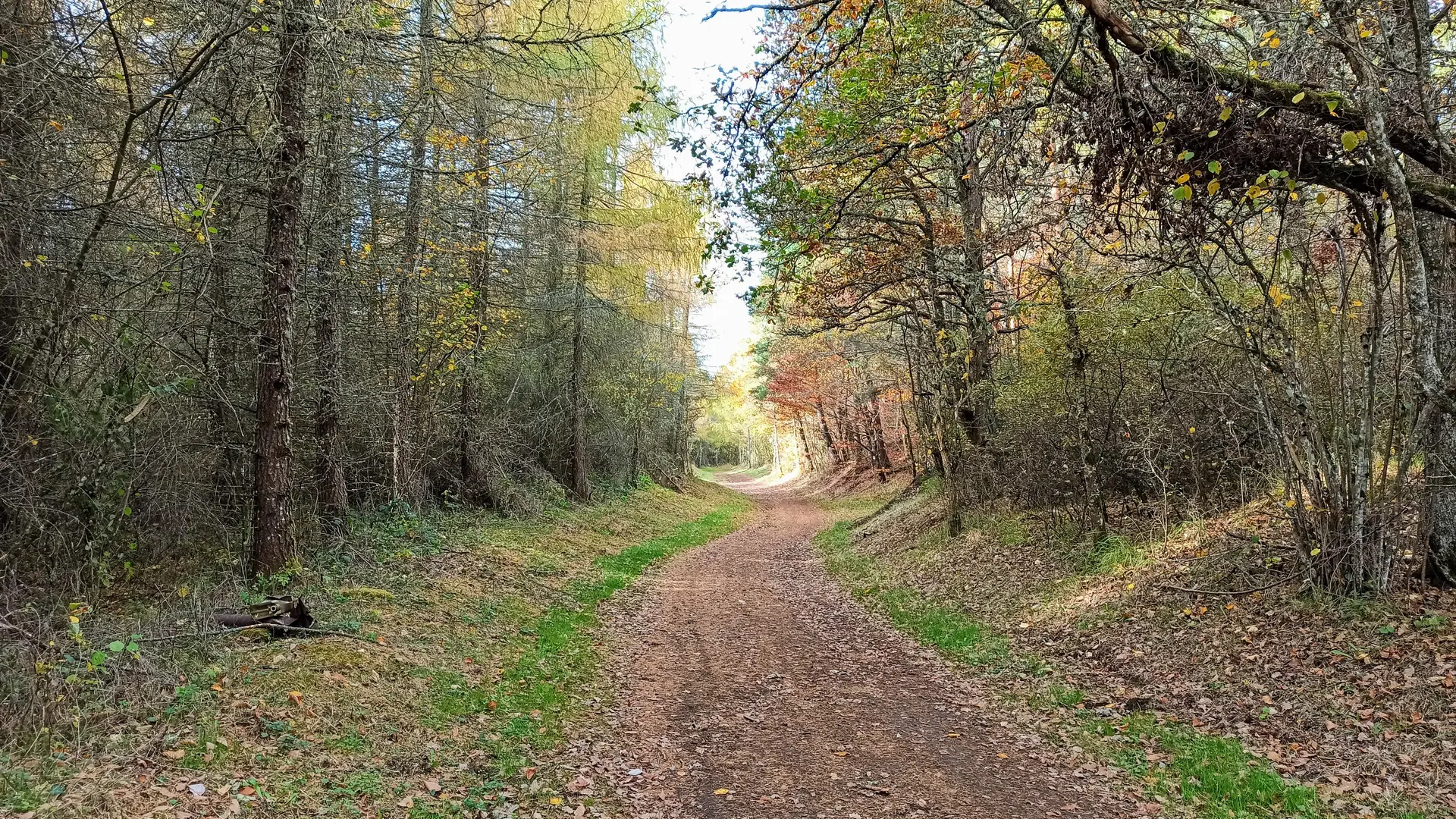 Randonnée VTT La Belle Volcanique