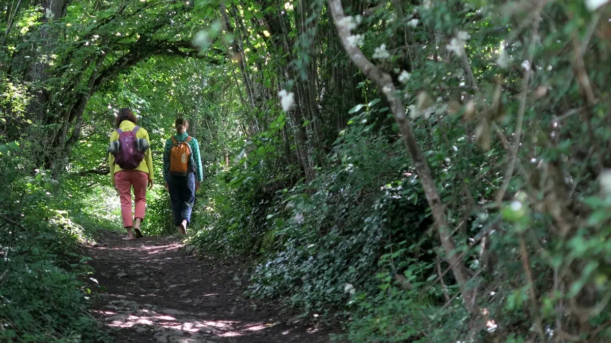 bain de forêt à Curienne