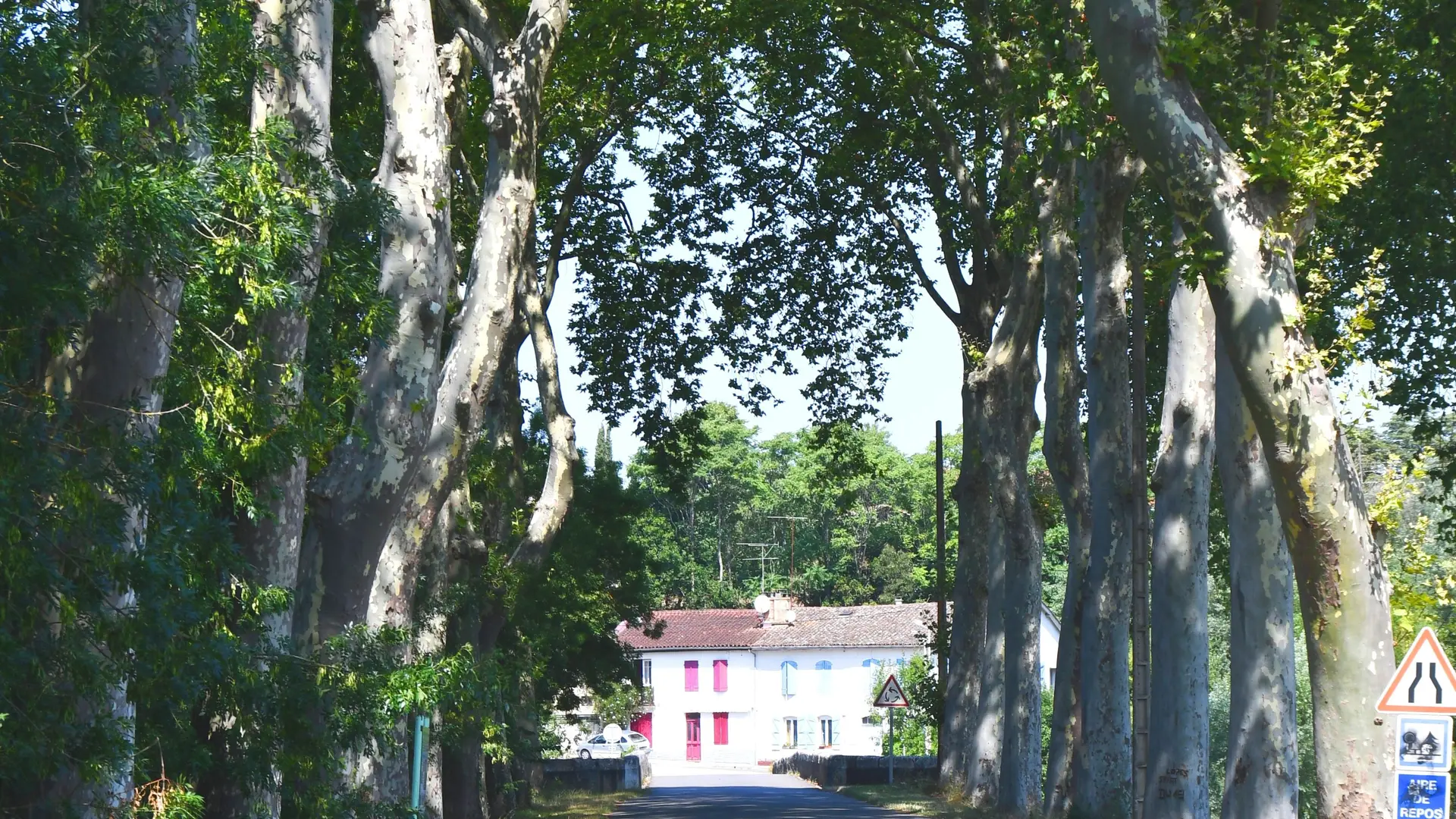 une allée de platanes conduit au village tout proche